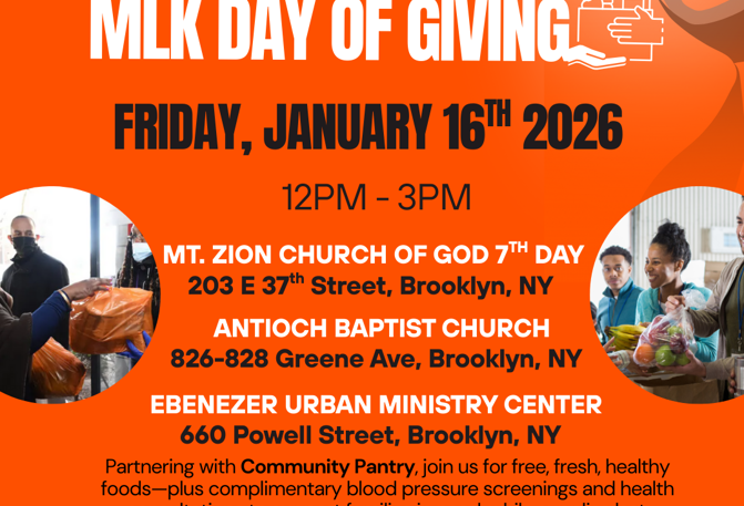 MLK DAY OF GIVING
