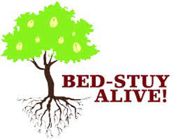 Bed Stuy Alive