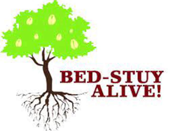 Bed Stuy Alive